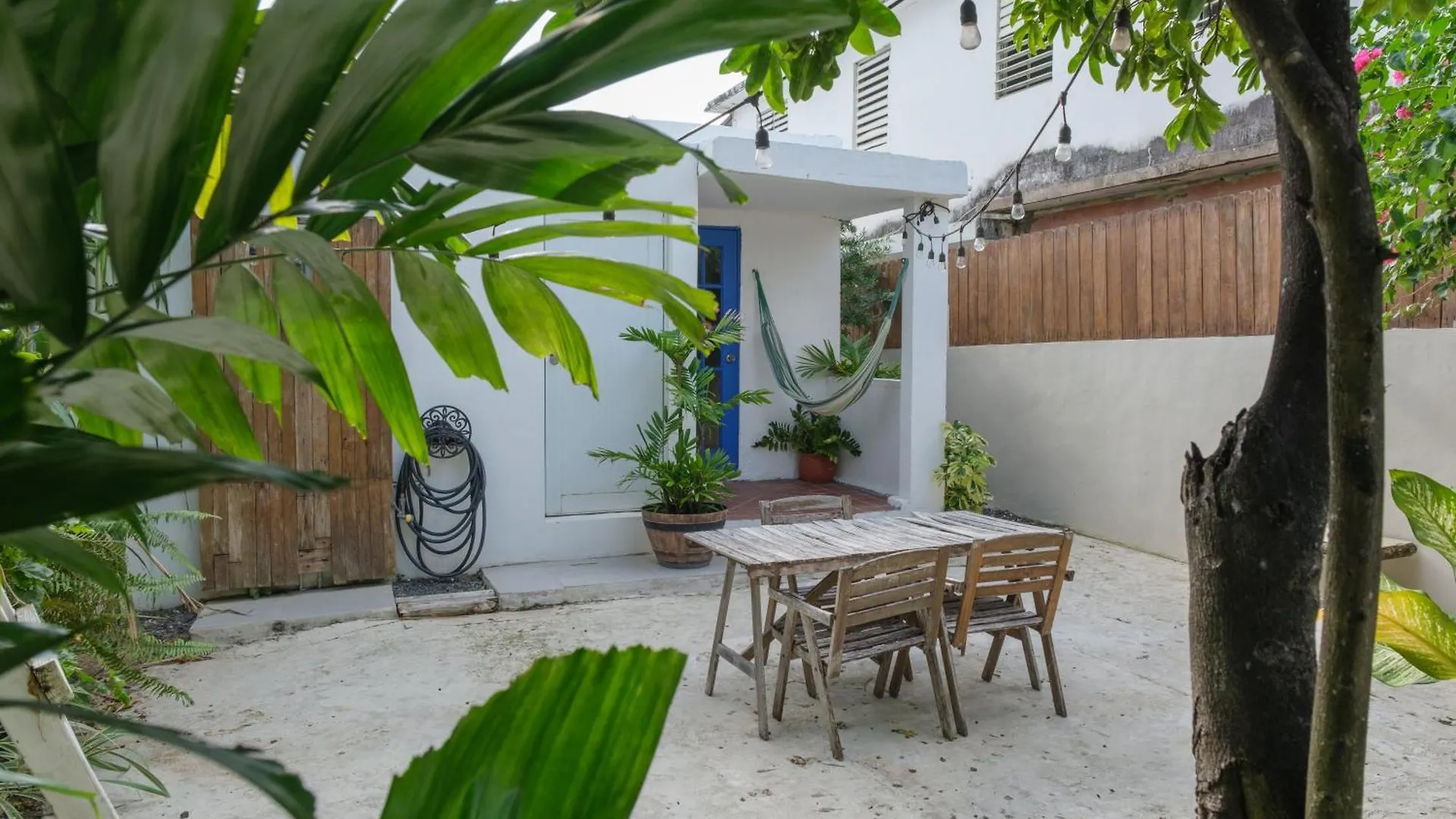 Dream Beach House By Sonsolea Host Luquillo Puerto Rico